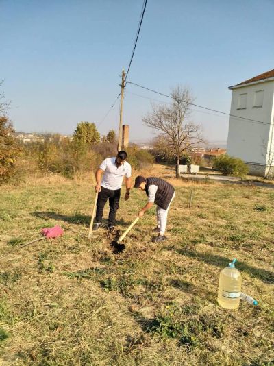 Дръвчетата се стават с още едно повече! 1