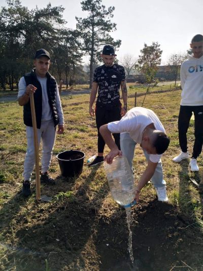 Дръвчетата се стават с още едно повече! 3
