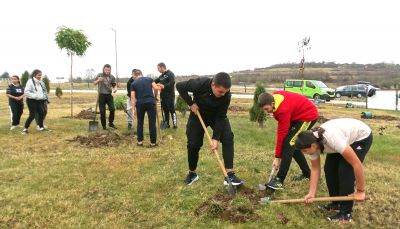 Засаждането на дръвчета в Луковит 2