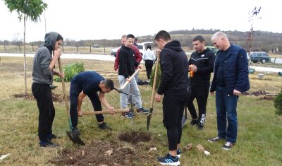 Засаждането на дръвчета в Луковит 5