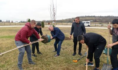 Засаждането на дръвчета в Луковит 6
